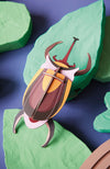 Studioroof Small Insects Elephant Beetle