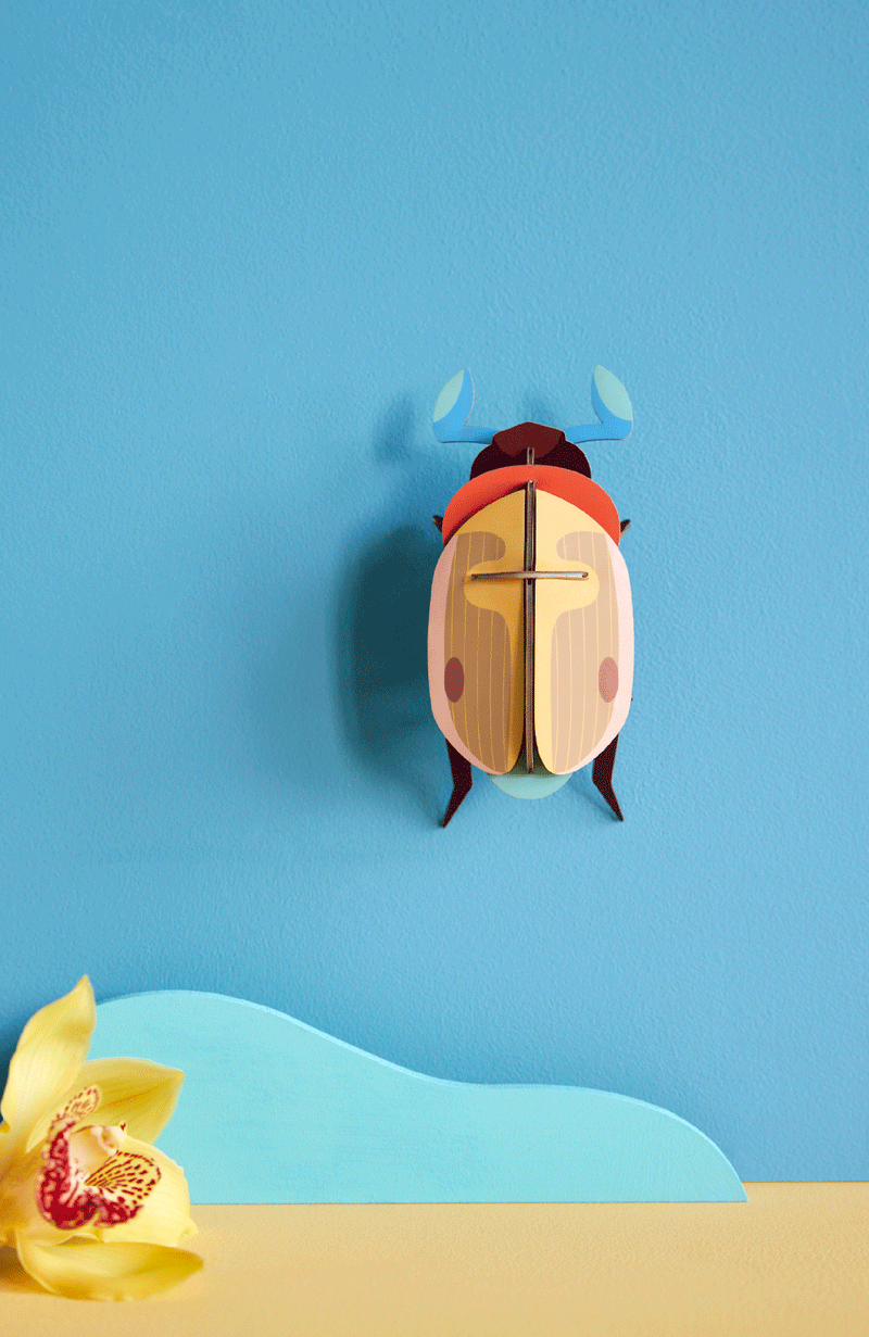Studioroof Small Insects Lemon Fruit Beetle